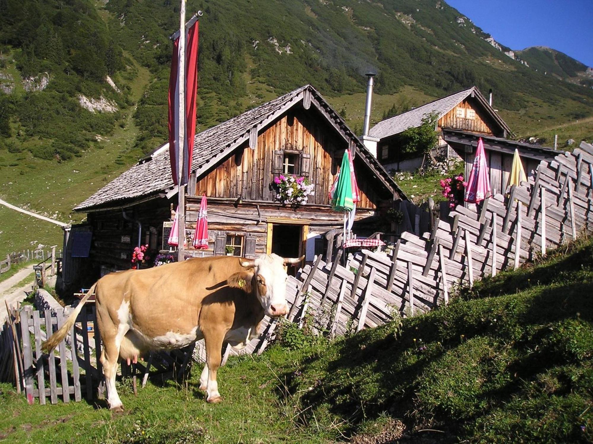 Ferienwohnung Renate Hubner Gosau Exterior photo